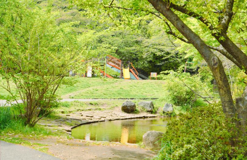 谷矢部池公園（徒歩5分／約390ｍ）